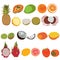 Tropic fruit isolated vector set illustration. Flat style vector set of fruits.