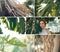 Tropic garden plants collage with red hair girl