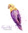 Tropic parrot bird watercolor Vector. Paint splash colorful backgrounds