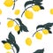 Tropic summer seamless pattern with lemons branches.