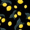 Tropic summer seamless pattern with lemons branches. Floral jungle pattern.