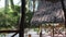 Tropical African Hotel with Thatched Roof Bungalows and Palm Trees, Zanzibar