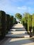 Tropical alley perspective with steps, Mallorca