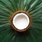 Tropical allure captured in isolated coconut ready for editing