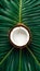 Tropical allure captured in isolated coconut ready for editing