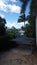 Tropical - Back garden of a tropical garden in Qld Australia