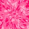 Tropical background. Abstract white and pink colors explosion. Sunburst pink rosette with alternating rays