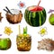Tropical background, cocktails in fruits