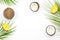 Tropical background coconut foto stock