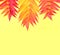 Tropical background of colorful leaves on yellow background. Creative mood. Decorative backdrop for banner, poster design.Trendy