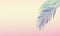 Tropical background with hanging palm leaves at gradient pastel pink and yellow. Summer concept