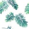 Tropical background with jungle plants. Seamless vector tropical pattern with green phoenix palm leaves.