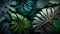 Tropical background with monstera leaves. Exotic. High quality