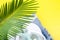 Tropical Background Palm Trees Branches with blurred Set of Woman\'s Things Accessories to Beach Season.