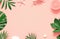 Tropical background. Palm trees branches with starfish and seashell on pink background. Travel.