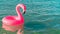 Tropical background. Pink inflatable flamingo in blue ocean water for sea summer beach background. Minimal summer concept