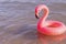 Tropical background. Pink inflatable flamingo in blue ocean water for sea summer beach background. Minimal summer concept