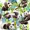 Tropical bamboo tree and panda pattern in a watercolor style.