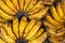 Tropical banana branch closeup photo. Simple tropical fruit on market stall. Organic farm market in South Asia