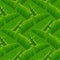 Tropical banana leaves seamless pattern