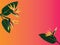 A tropical banner. Flowers and leaves of the royal strelitzia on a background with a degrade effect from orange to pink.