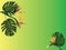 A tropical banner. Royal strelitzia flowers and monstera leaves on a background with a degrade effect from yellow to green.