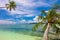 Tropical Beach background - calm sea surf, palm trees and blue sky