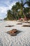 Tropical beach bar boracay island philippines