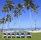 Tropical beach with blue long chairs and green grass