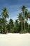 tropical beach boracay palm trees philippines