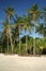 tropical beach boracay palm trees philippines