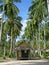 Tropical beach of Chang Island, Thailand