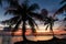 Tropical beach with coconut palm