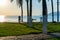 Tropical beach with coconut palm tree in morning sunrise, with people doing exercise with public equipment on Nha Trang beach,