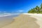 Tropical beach with coconut trees next to the sea