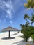 Tropical beach with high palm-trees and umbrellas