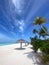 Tropical beach with high palm-trees and umbrellas