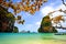 Tropical beach Krabi, Thailand