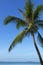 Tropical beach landscape with coconut tree , ocean