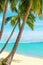 Tropical beach landscape, exotic island view, turquoise sea water, ocean wave, green palm tree leaves, summer holidays, vacation,