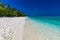 Tropical beach in Maldives with palm trees and vibrant lagoon