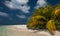 Tropical beach in Maldives.Tropical Paradise at Maldives with palms, sand and blue sky