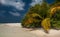 Tropical beach in Maldives.Tropical Paradise at Maldives with palms, sand and blue sky