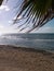 Tropical beach near Paphos City, Cyprus island