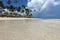 Tropical beach and ocean, view to coconut palm trees with wicker parasols