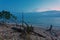 Tropical beach with old wood snag at sunset