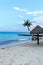 Tropical Beach with palm and palapa