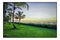 Tropical Beach, Palm Trees, Beautiful landscape, Paradise - Original Digital Art Painting