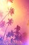 Tropical beach palm trees at sunset fairy tale stylized with gold glitter