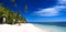 Tropical beach panorama